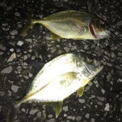 港湾ライトゲーム