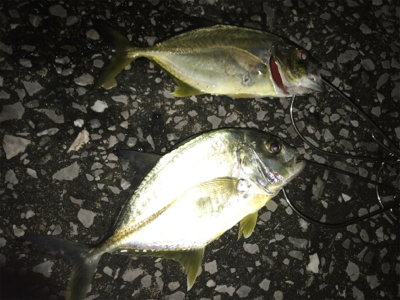 港湾ライトゲーム