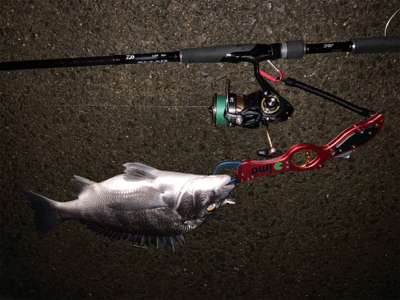 メタルマルでナイトチヌ！