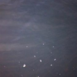 アジングのちエギング