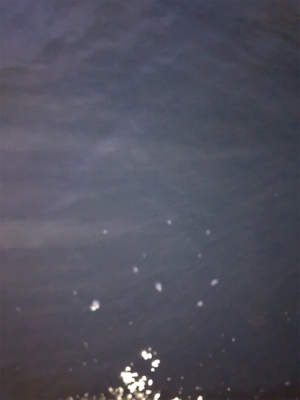 アジングのちエギング