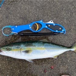 遅ればせキャスト！一投で♫