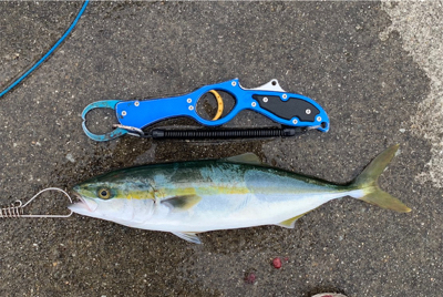 遅ればせキャスト！一投で♫