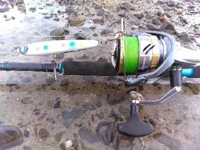 須磨海岸で青物とまさかの底物