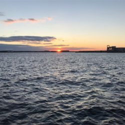 アジング＆タチウオ