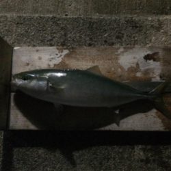 兄さん姉さん不在