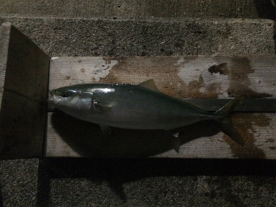 兄さん姉さん不在