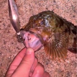 時合に当たった！