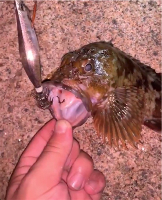 時合に当たった！