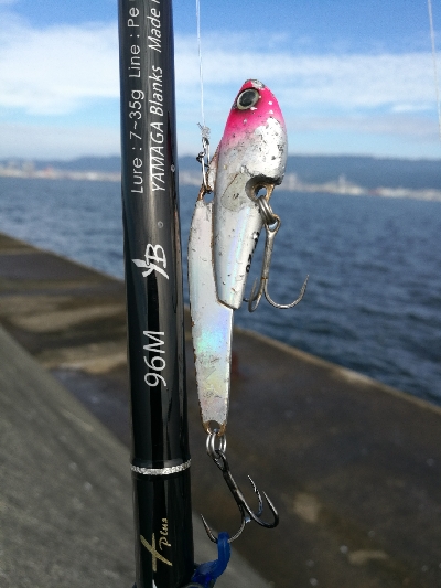 武庫一青物好調