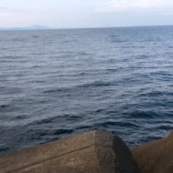 楽しいね エギング