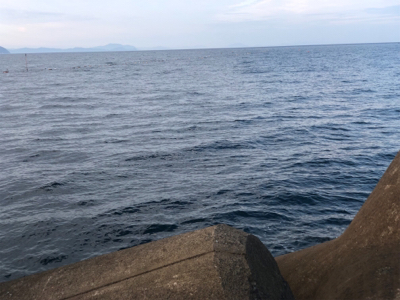 楽しいね エギング