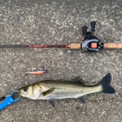 カンパリさんありがとうございます。