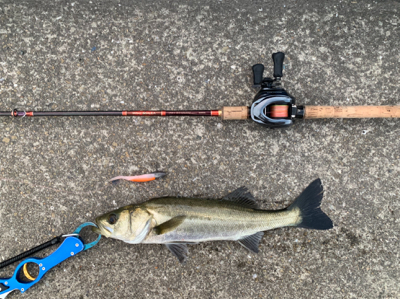 カンパリさんありがとうございます。