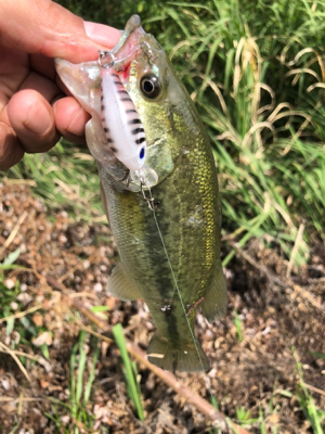 ヘラ釣りの人に呼ばれて。