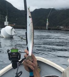 田子港 手漕ぎボート五目釣り