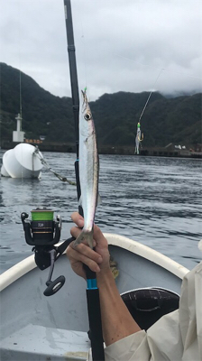 田子港 手漕ぎボート五目釣り