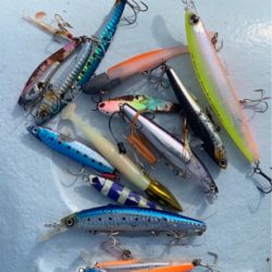 潮悪く、太刀の細君