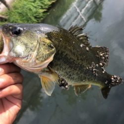 人もバスもいい季節!!