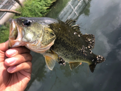 人もバスもいい季節!!