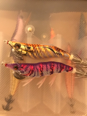 生名島エギング