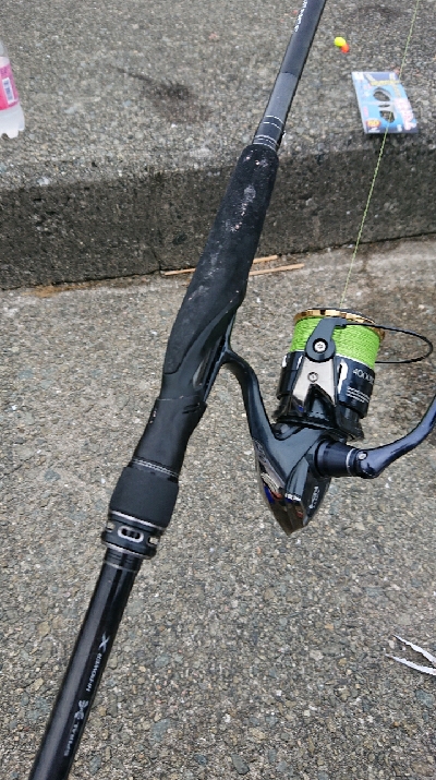 初サヨリチャレンジ