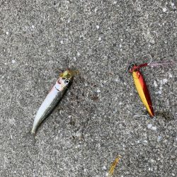 ボイル!ボイル!ボイル!