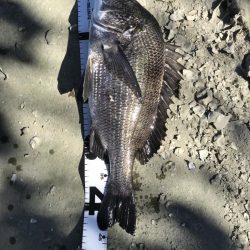 イチノ兄弟、釣果!