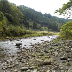 2匹目のドジョウならぬ、3匹目のアマゴ