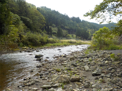 2匹目のドジョウならぬ、3匹目のアマゴ