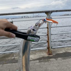 コスモスクエアにて!