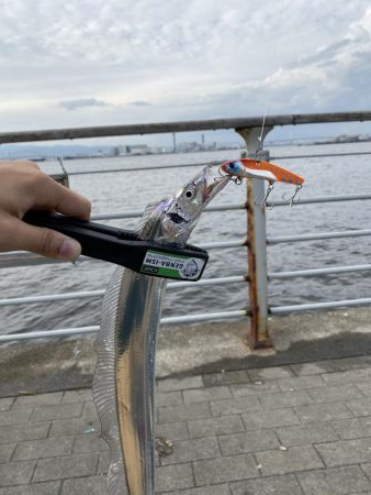 コスモスクエアにて!