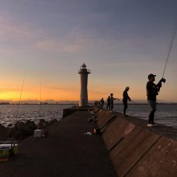 和田坊新波止にて青物