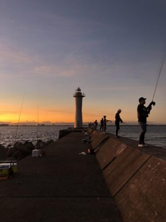和田坊新波止にて青物