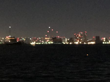 コスモスクエアタチウオ調査