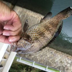 メッキ祭りの後に！