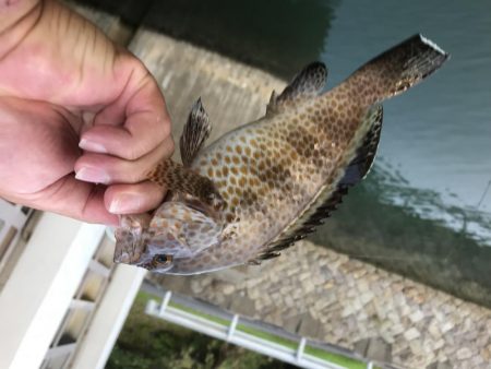 メッキ祭りの後に！