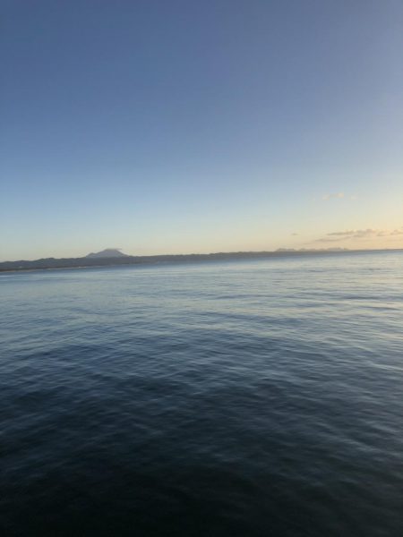 小さなサゴシの回遊アリ