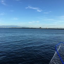 ライトショアジギング