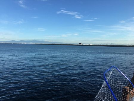 ライトショアジギング