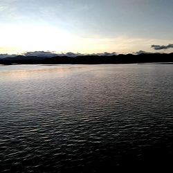 何と　シオ42㎝が2本もヒットです!!