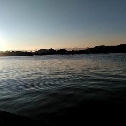 ツバスが　1本キープです!!