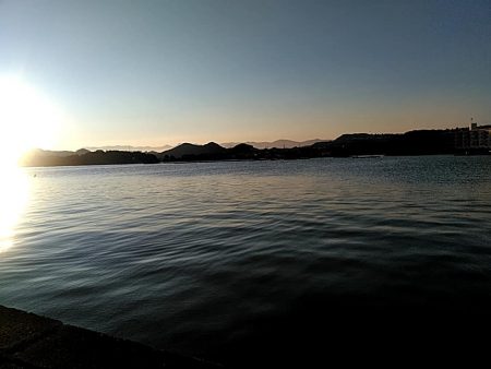 ツバスが　1本キープです!!