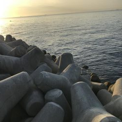 9月9日やっとハマチ