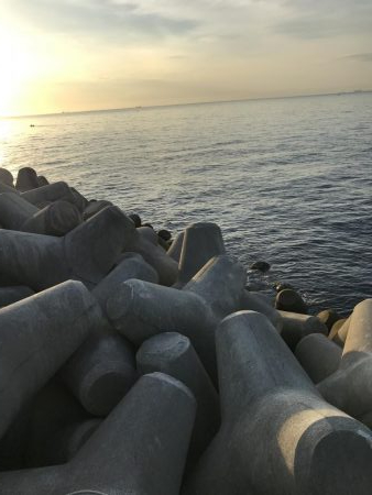 9月9日やっとハマチ