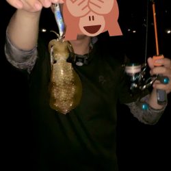 エッグアームでエギング