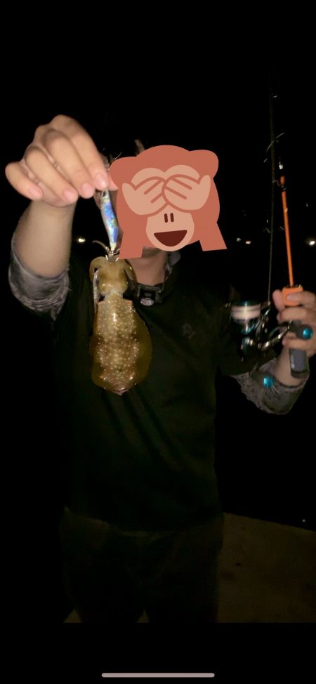 エッグアームでエギング