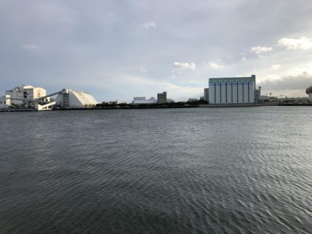 タチウオきてるよ