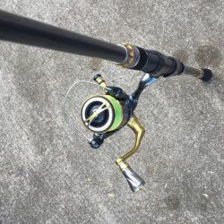 アジの泳がせ釣り釣行