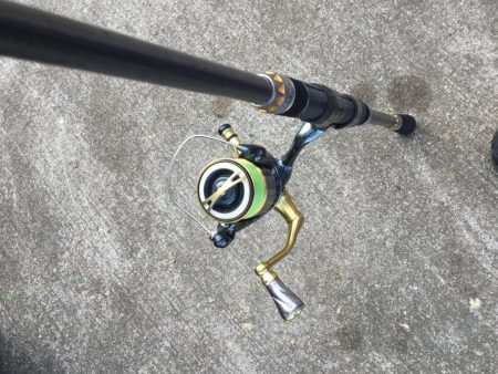 アジの泳がせ釣り釣行